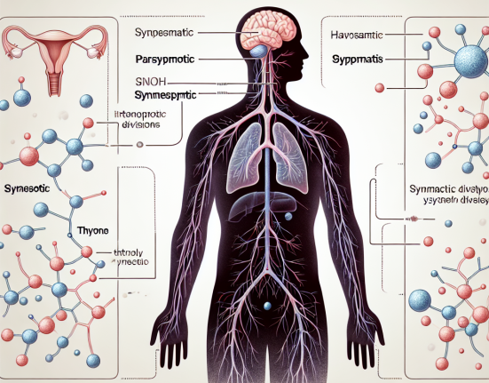 Cómo afecta L-Thyroxine Sodium/Levothyroxine Sodium (LT4 sodium) al sistema nervioso autónomo