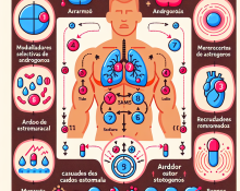 Qué hacer si SARMs causa ardor estomacal